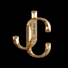 Franchoo logo